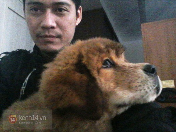 Chú chó ngao Tạng sở hữu bộ lông dày nên được đặt tên là Bông.