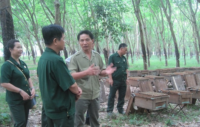 Cựu chiến binh Võ Văn Kiệt phổ biến kinh nghiệm nuôi ong cho các đồng đội.
