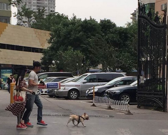 Phạm Băng Băng, Lý Thần tay trong tay dắt chó đi dạo