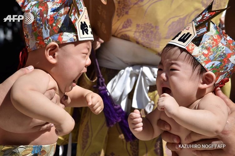 Ngộ nghĩnh cuộc đấu sumo khóc của võ sĩ nhí ở Nhật