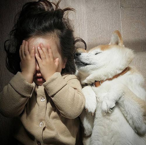 “Tan chảy” với tình bạn của cô bé Pháp 2 tuổi và chó cưng