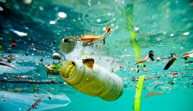 20 sự thật về ô nhiễm biển