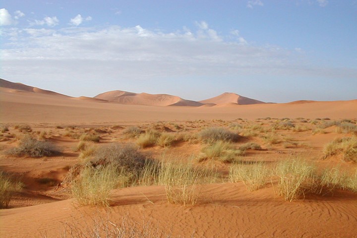 Đố bạn phân biệt được hoang mạc và sa mạc khác nhau như thế nào?