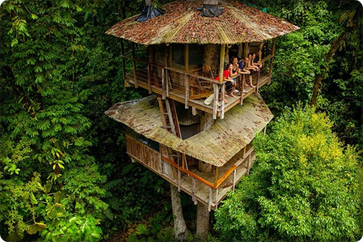 Chiêm ngưỡng khách sạn trên cây độc đáo ở Costa Rica