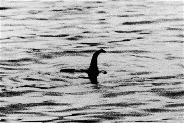 Sinh vật biển nghi có họ với quái vật Loch Ness ở Alaska