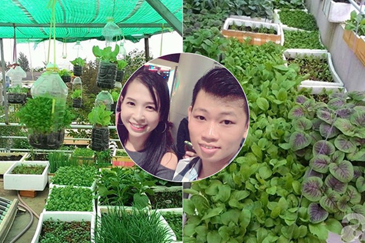 Sân thượng 70m² bạt ngàn rau quả sạch của đôi vợ chồng trẻ ở Sài Gòn