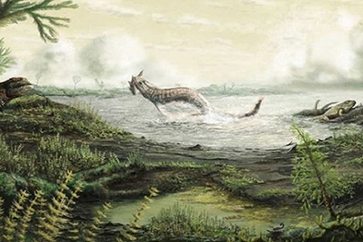 Hóa thạch động vật đầu tiên đi lại trên đất liền