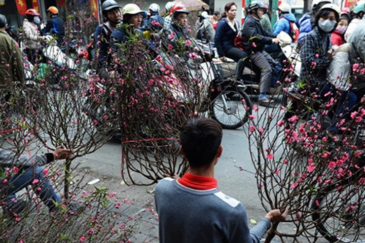 CNN chọn chợ hoa Quảng Bá là 1 trong 15 nơi tuyệt nhất để đón Tết