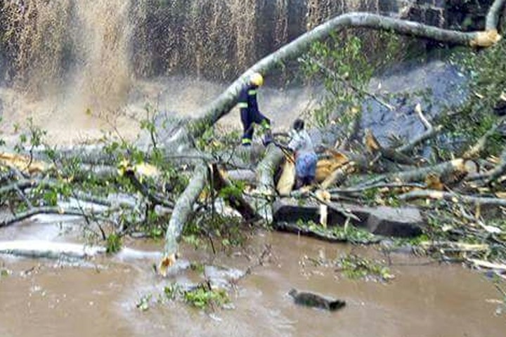 Gió bão lật đổ cây khiến 20 sinh viên thiệt mạng tại Ghana