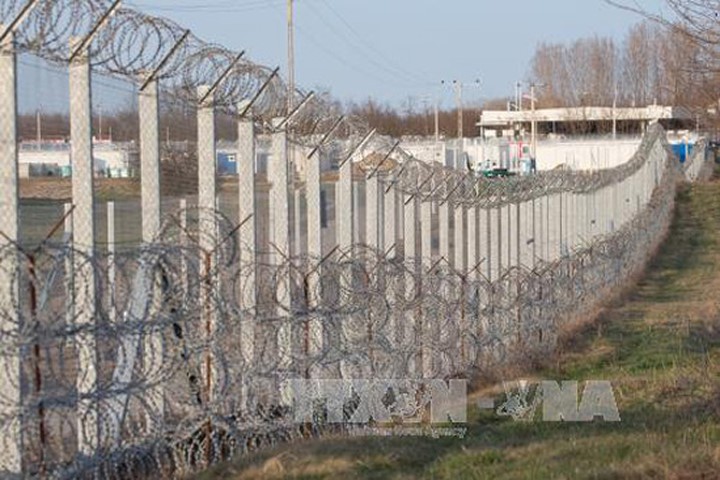 Hàng rào ngăn cách tại biên giới Hungary-Serbia gần Kelebia, Hungary ngày 20/3. Ảnh: THX/TTXVN

