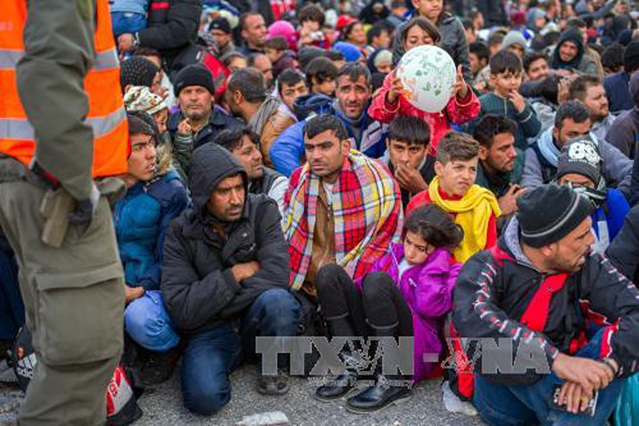 Người tị nạn chờ được lên xe ô tô sau khi vượt qua biên giới giữa Áo và Slovenia. Ảnh: AFP/TTXVN