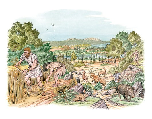 Minh họa cuộc sống săn bắn và làm nông ở thời đồ đồng