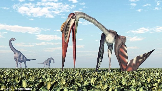 Các nhà khoa học vừa phát hiện hóa thạch của một loại thằn lằn có cánh khổng lồ