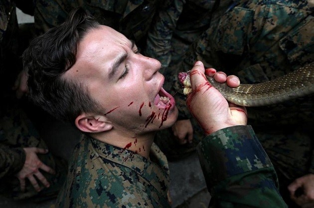 Lính Mỹ uống máu rắn hổ mang