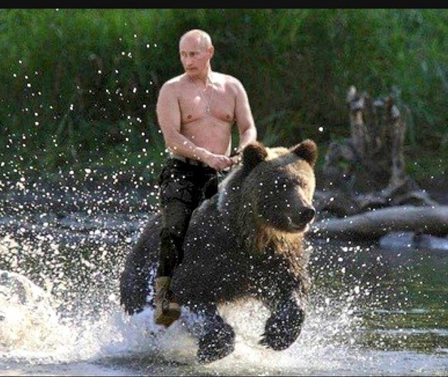 Ông Putin tiết lộ chuyện cưỡi gấu giữa thiên nhiên