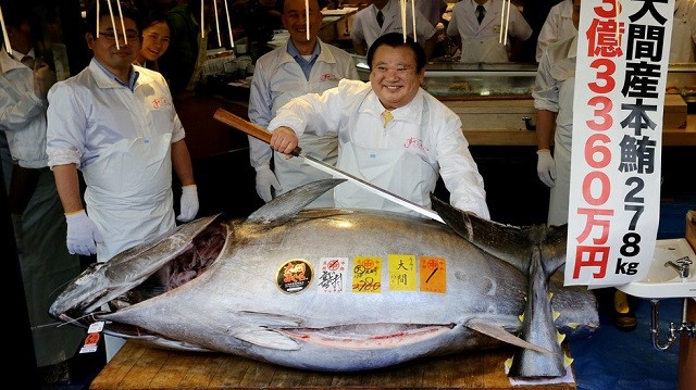 Ông Kiyoshi Kimura với chú cá ngừ nặng 278kg