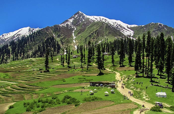 Pakistan sẽ trồng nhiều cây xanh để đối phó với hiệu ứng nóng lên toàn cầu