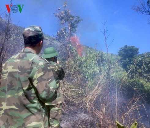 Nhiều nơi ở Phú Yên cảnh báo cháy rừng cấp V, cấp cực kỳ nguy hiểm.
