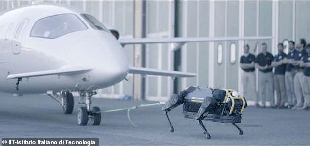 Bất ngờ chú chó robot nhẹ nhàng kéo máy bay 3 tấn