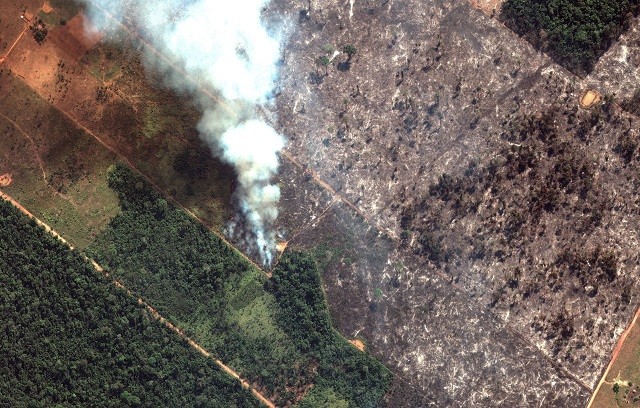 Hình ảnh vệ tinh cho thấy khói bốc lên từ đám cháy rừng nhiệt đới Amazon ở bang Rondonia, ngay phía tây nam Porto Velho, Brazil thuộc lưu vực thượng lưu sông Amazon vào ngày 15/8/2019.
