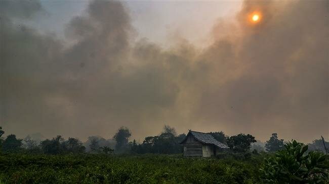 Khói bốc lên từ những đám cháy rừng tại Indonesia. (Ảnh: AFP)