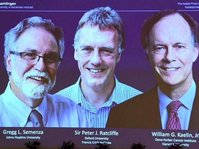 3 nhà khoa học được vinh danh đoạt giải Nobel y học 2019.