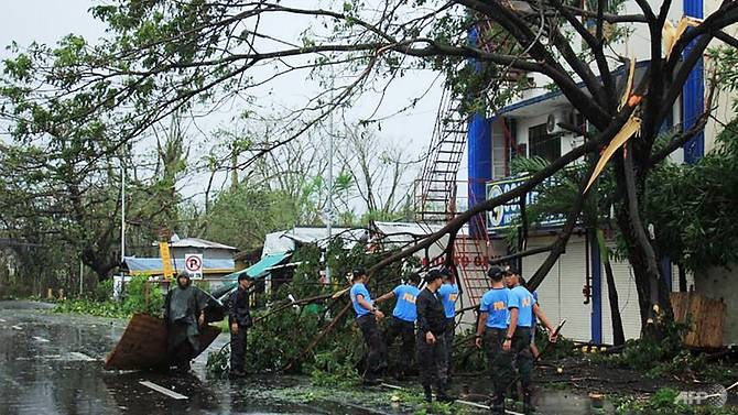 Cây đổ vì bão Kammuri ở Philippines