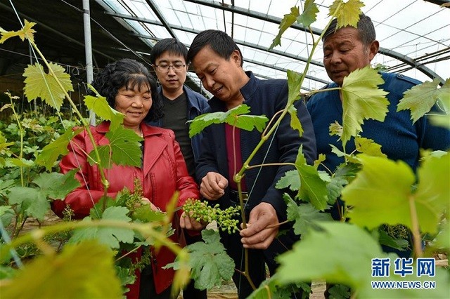 Trung Quốc đặt mục tiêu dành 5 năm để đào tạo một triệu nông dân có trình độ cao.
