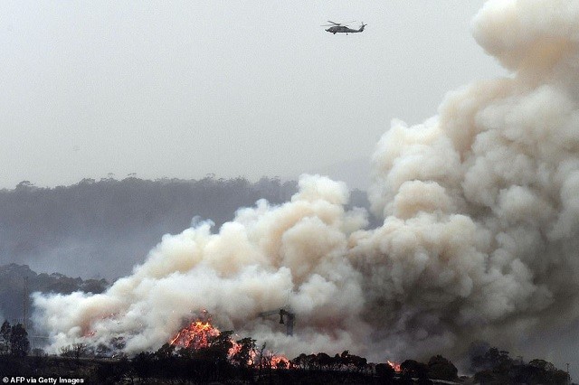 Cơn mưa “vàng” có thể cản trở nỗ lực đối phó cháy rừng đang lan rộng ở Australia