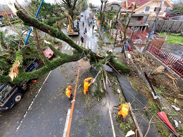 Bão Goni quật đổ cây cối ở Philippines.