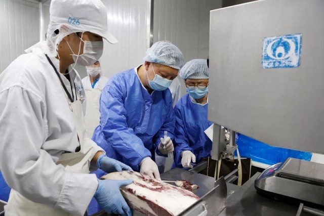 Nhân viên y tế mặc đồ bảo hộ thu thập mẫu thịt bò đông lạnh nhập khẩu để xét nghiệm COVID-19 tại một nhà máy thực phẩm ở Thượng Hải, Trung Quốc.