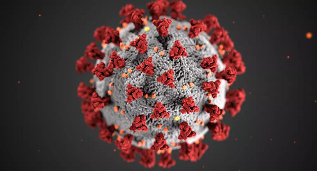 Hình minh họa virus corona.