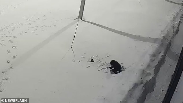 Bé trai rơi xuống tuyết từ tầng 12 đã may mắn sống sót.