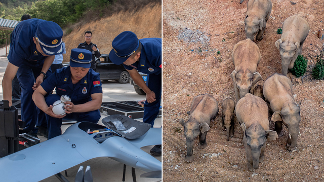Đàn voi vào làng, Trung Quốc triển khai hơn 500 người và 14 UAV để đối phó