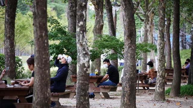 Người dân Hàn Quốc nghỉ ngơi tại một khu rừng.