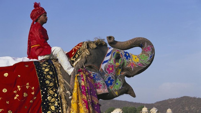 Cưỡi voi ở Ấn Độ.