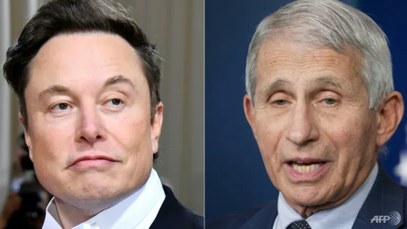 Chủ sở hữu Twitter Elon Musk (trái) và Tiến sĩ Anthony Fauci.