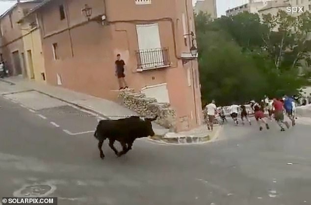 Phản ứng trái chiều sau cái chết đau đớn của con bò ở Tây Ban Nha