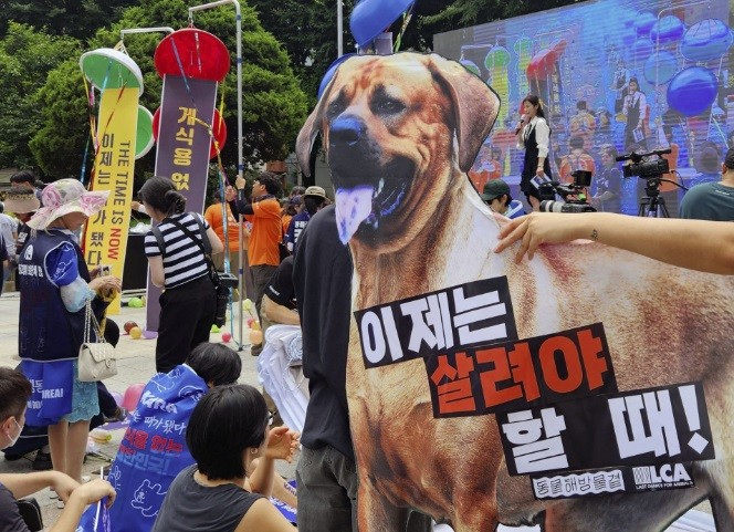 Bức ảnh chụp ở Seoul tháng 7/2023 cho thấy một cuộc biểu tình phản đối việc tiêu thụ thịt chó. (Yonhap/Kyodo)
