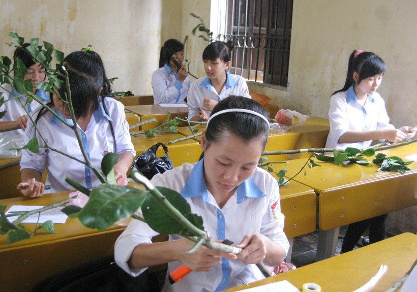 Kỳ thi nghề phổ thông năm nay tỉnh Điện Biên có hơn 6.500 học sinh THPT đăng ký tham gia. Ảnh minh họa.