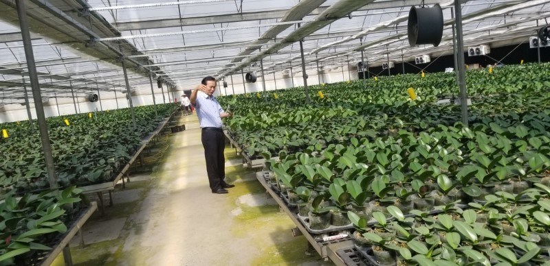 PGS.TS Đặng Văn Đông trong vườn ươm hoa lan của Viện Nghiên cứu rau quả.