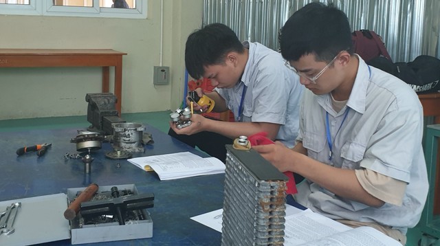 Giới trẻ Việt Nam mong muốn có thêm những chương trình đào tạo thực tiễn hơn