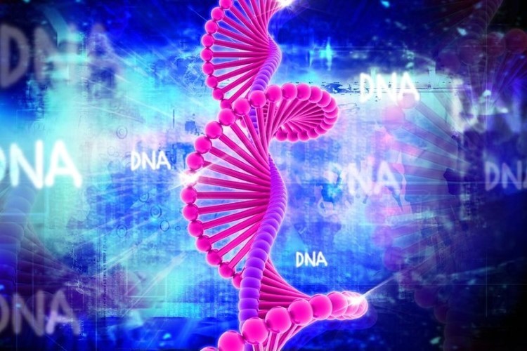 DNA trở thành phương tiện lưu trữ dữ liệu.
