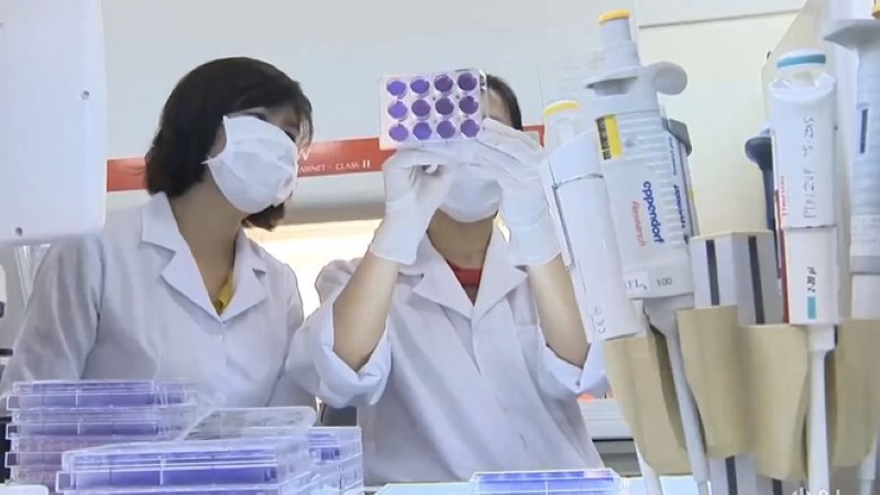 Vắc-xin phòng Covid-19 của Việt Nam dự kiến được thử nghiệm trên người vào cuối năm nay. Ảnh: Thuý Anh