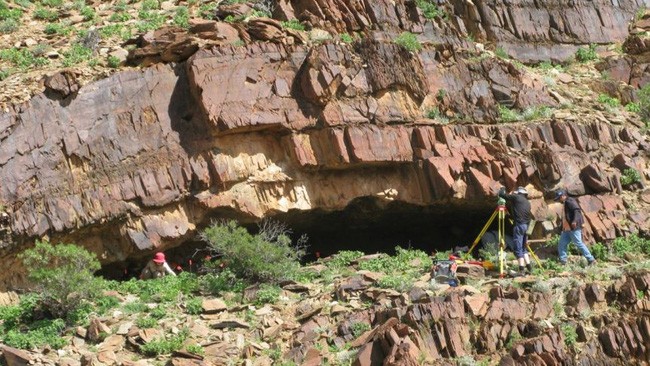 Vô tình phát hiện di tích cổ của loài người 49.000 năm trước