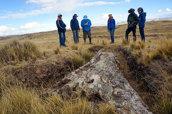 Thân cây hóa thạch bị chôn vùn dưới một thảm cỏ. Ảnh: Rodolfo Salas Gismondi.