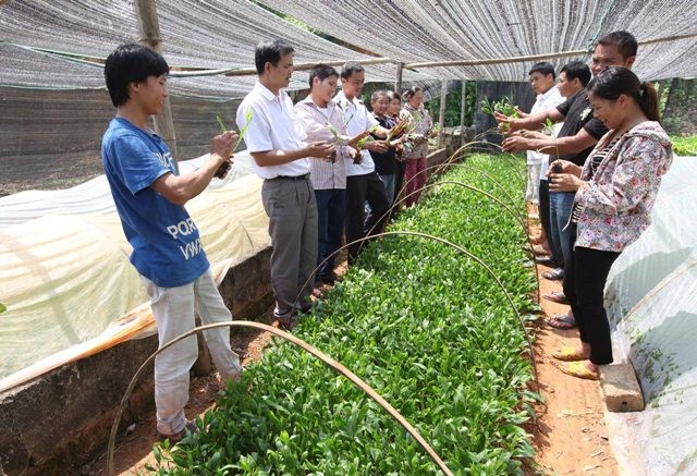 Hướng dẫn sản xuất cây giống cho người nông dân tại Trung tâm Dạy nghề huyện Hữu Lũng, Lạng Sơn.
