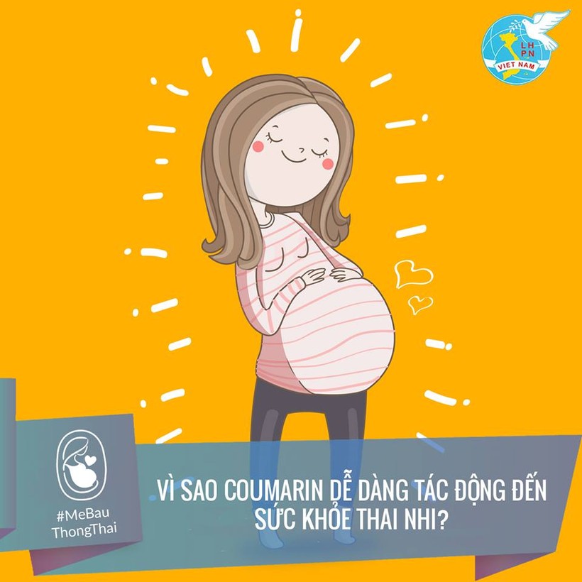 Hình ảnh tuyên truyền bảo vệ sức khỏe bà bầu và thai nhi của ung tâm Hỗ trợ phụ nữ và Chăm sóc sức khỏe sinh sản – Hội liên hiệp phụ nữ Việt Nam