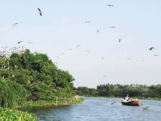 Đảo Cò tại huyện Thanh Miện, một trong những điểm du lịch sinh thái hấp dẫn du khách của Hải Dương
