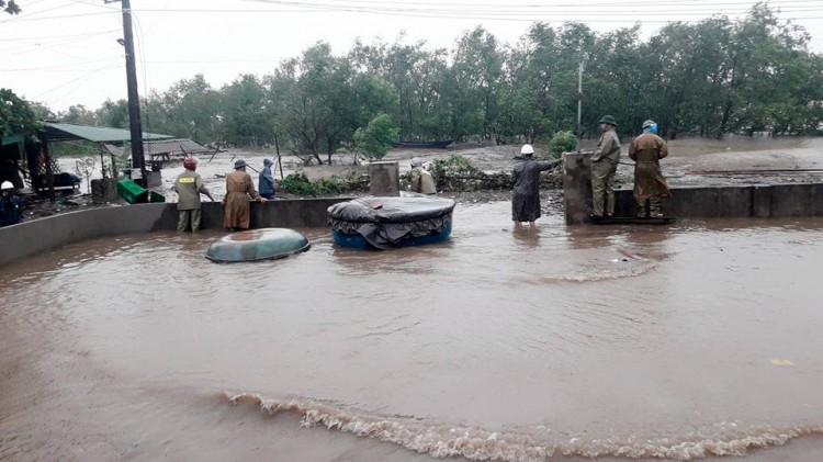 Thiệt hại do bão số 10 gây ra là rất lớn, thế nhưng những con số báo cáo lên Ban Chỉ đạo trung ương về phòng chống thiên tai của huyện Hoằng Hóa - Thanh Hóa bị dư luận nghi ngờ. 